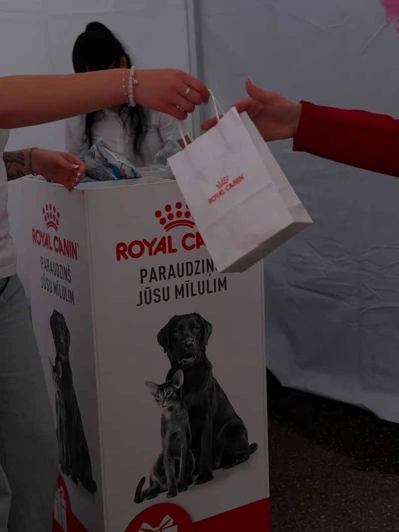 Promo kampaņas — AD PROMO